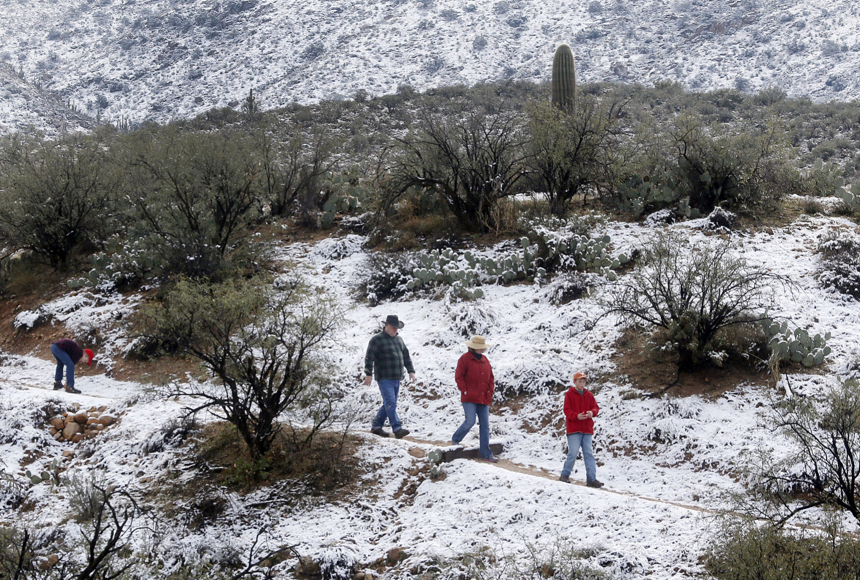 Catalina State Park